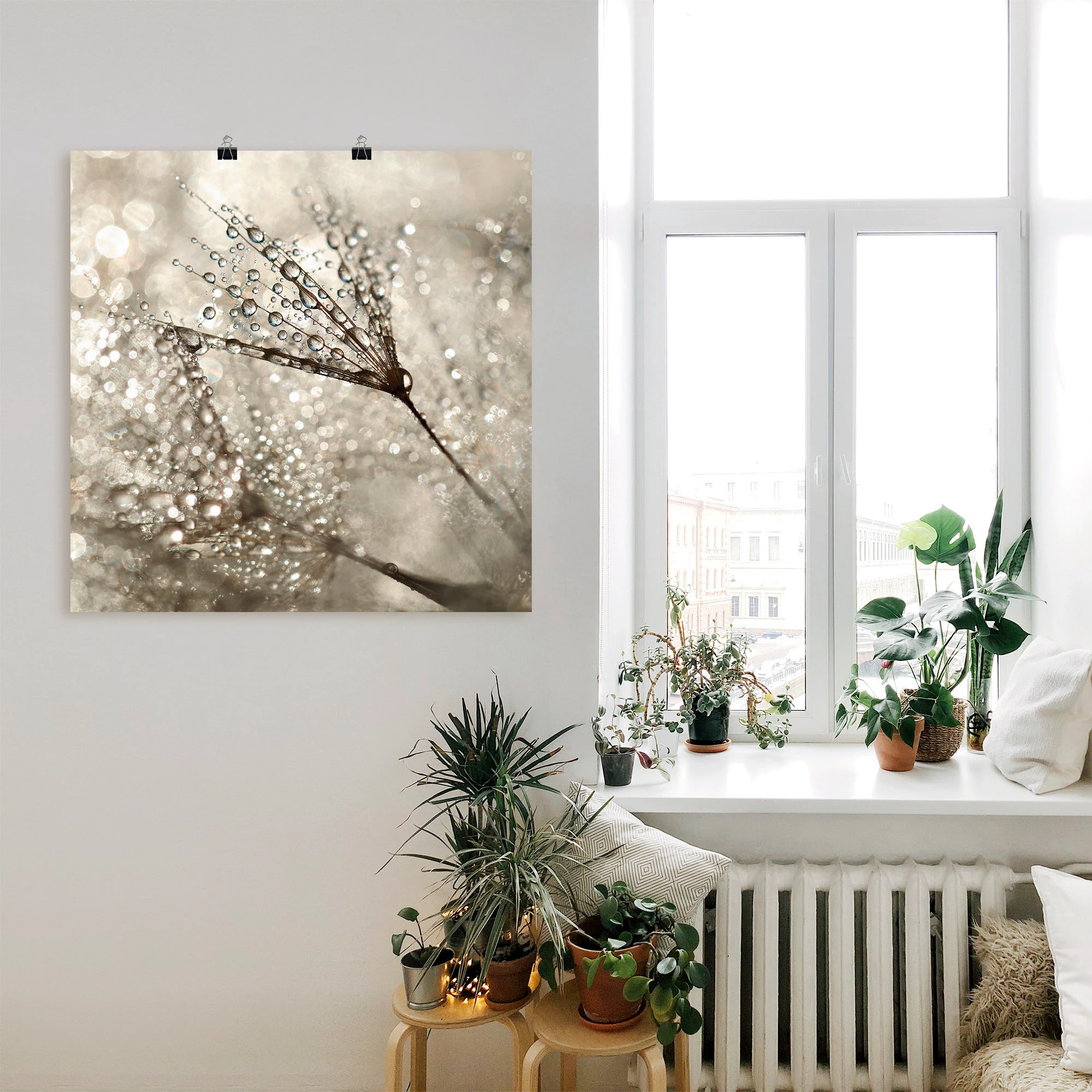 Artland Wandbild »Pusteblume Tautropfen«, Blumen, (1 St.), als Alubild, Out günstig online kaufen