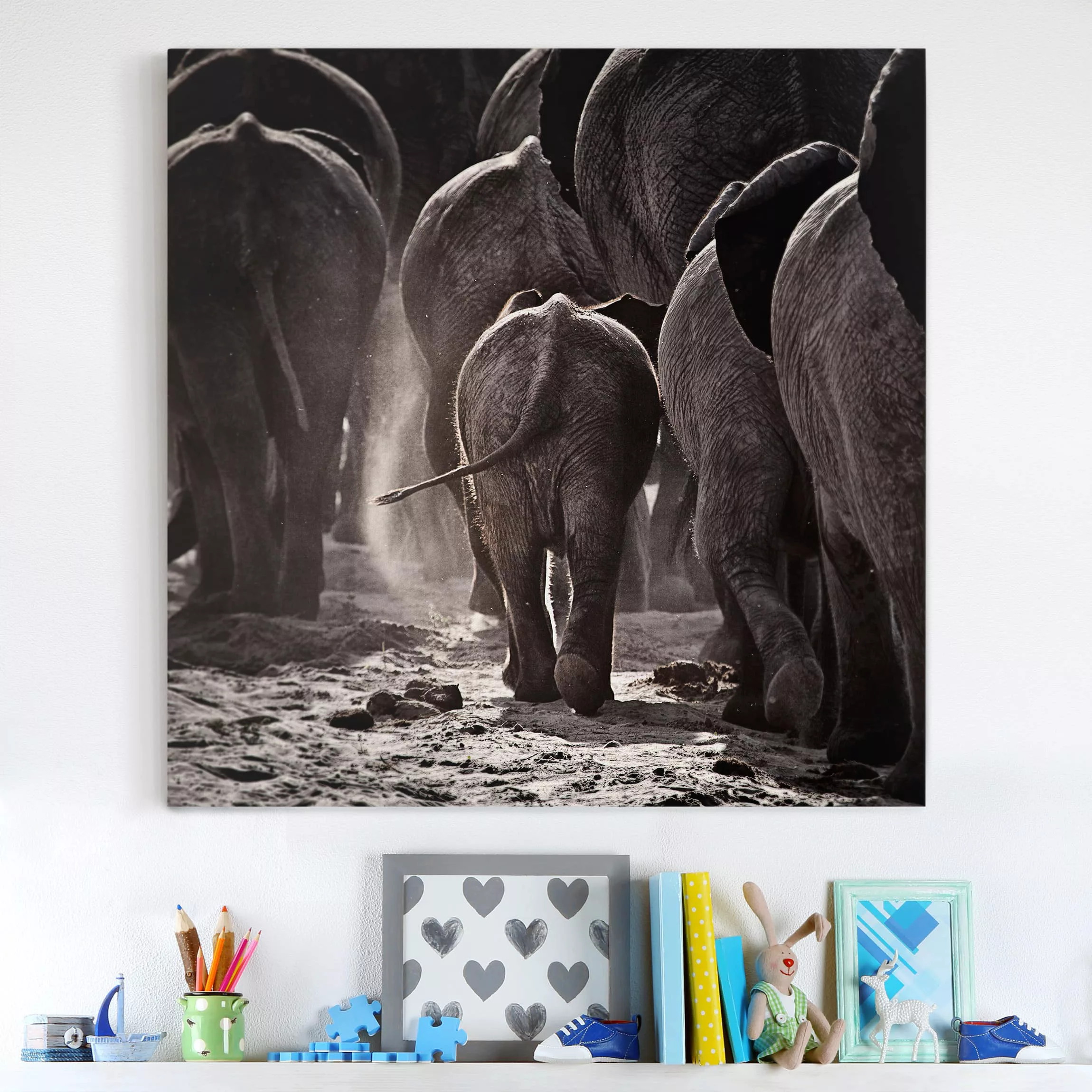 Leinwandbild Elefant - Quadrat Nach Hause gehen günstig online kaufen