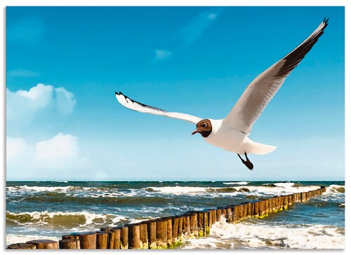 Artland Küchenrückwand »Ostsee«, (1 tlg.), Alu Spritzschutz mit Klebeband, günstig online kaufen