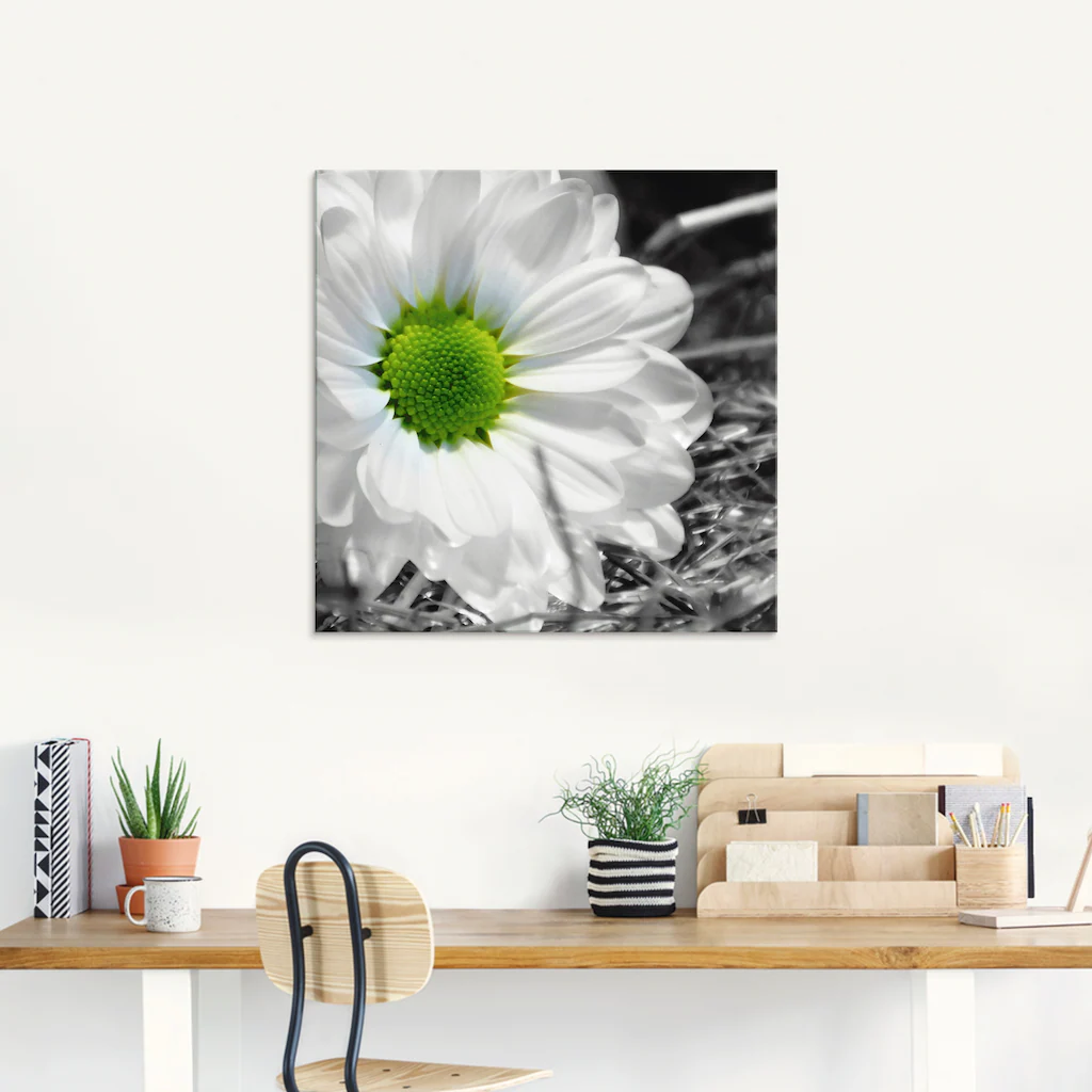 Artland Glasbild »Weiße Blume«, Blumen, (1 St.), in verschiedenen Größen günstig online kaufen