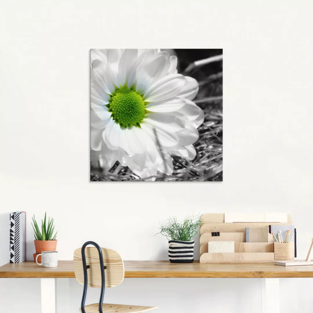 Artland Glasbild "Weiße Blume", Blumen, (1 St.), in verschiedenen Größen günstig online kaufen