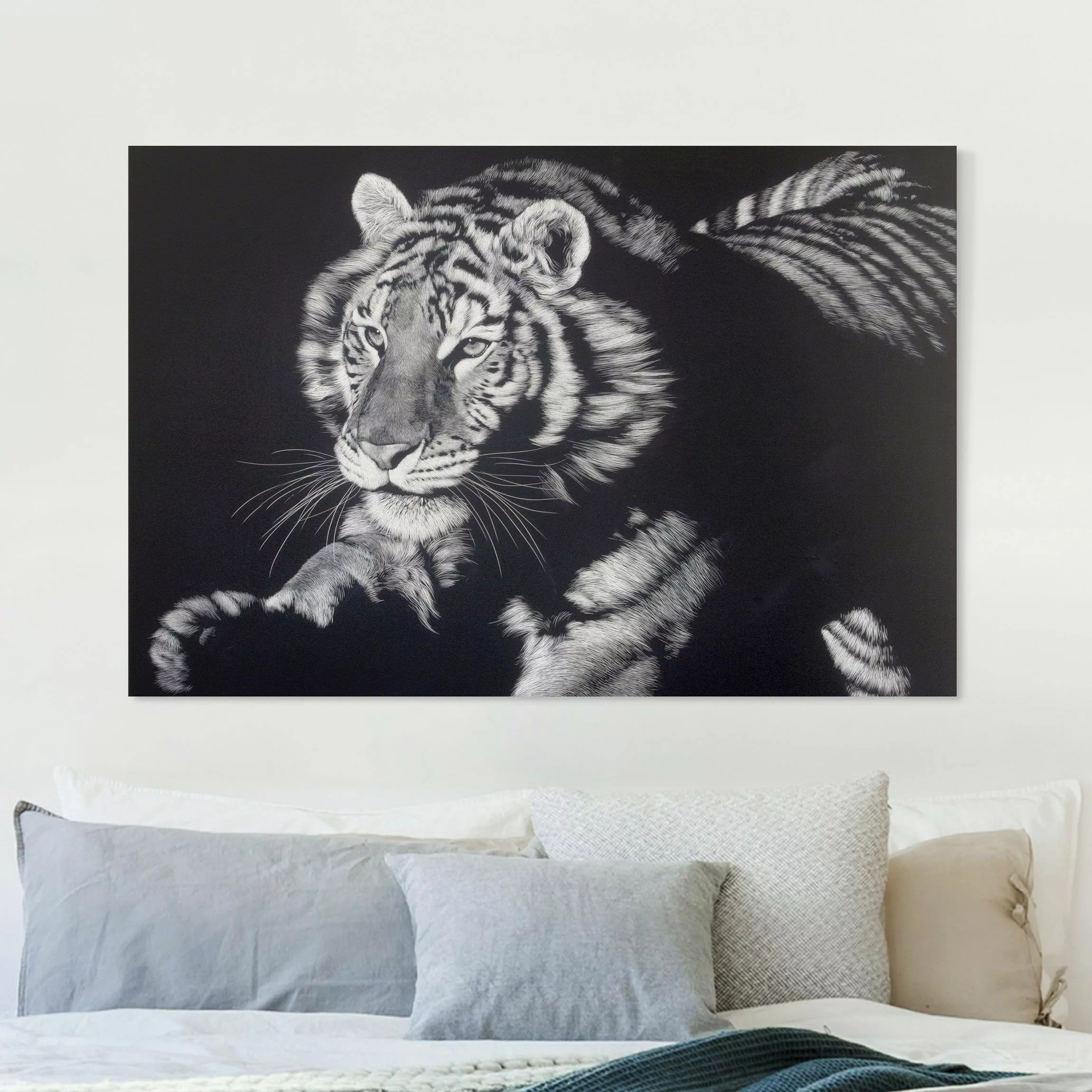 Leinwandbild Tiger im Sonnenlicht vor Schwarz günstig online kaufen