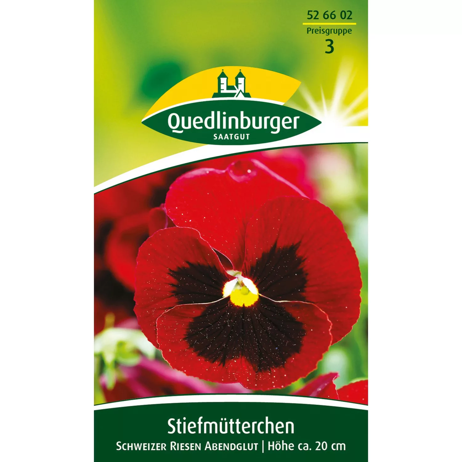 Quedlinburger Stiefmütterchen ''Schweizer Riesen Abendglut'' günstig online kaufen