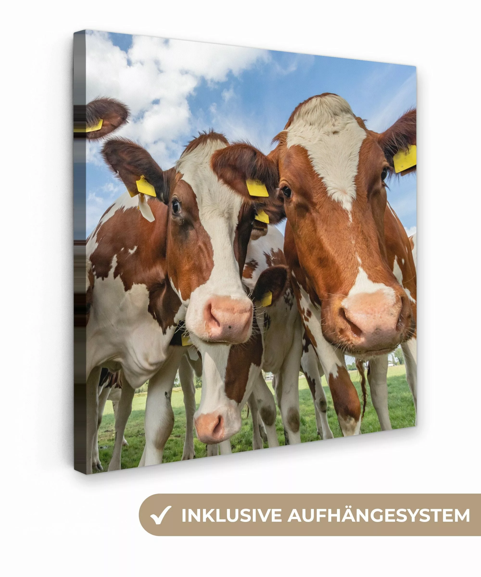 OneMillionCanvasses® Leinwandbild Kühe - Tiere - günstig online kaufen