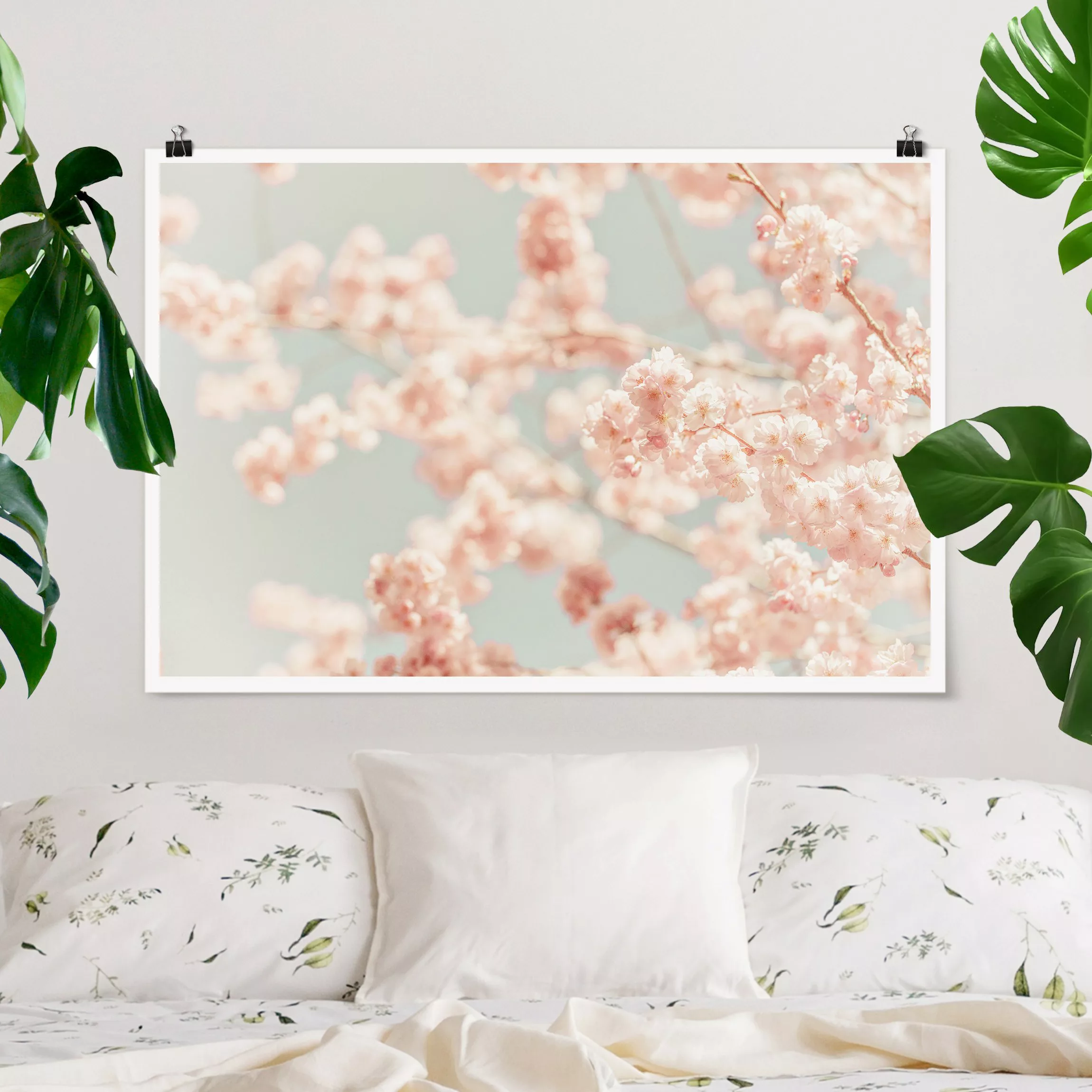 Poster Kirschblüten Glow günstig online kaufen