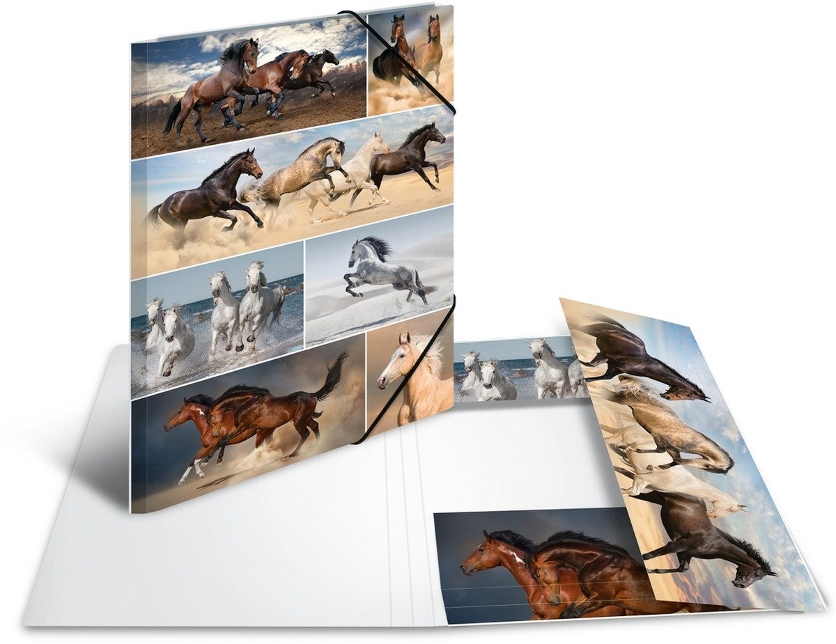 HERMA Fächermappe Sammelmappe A3 Pappe Pferde günstig online kaufen