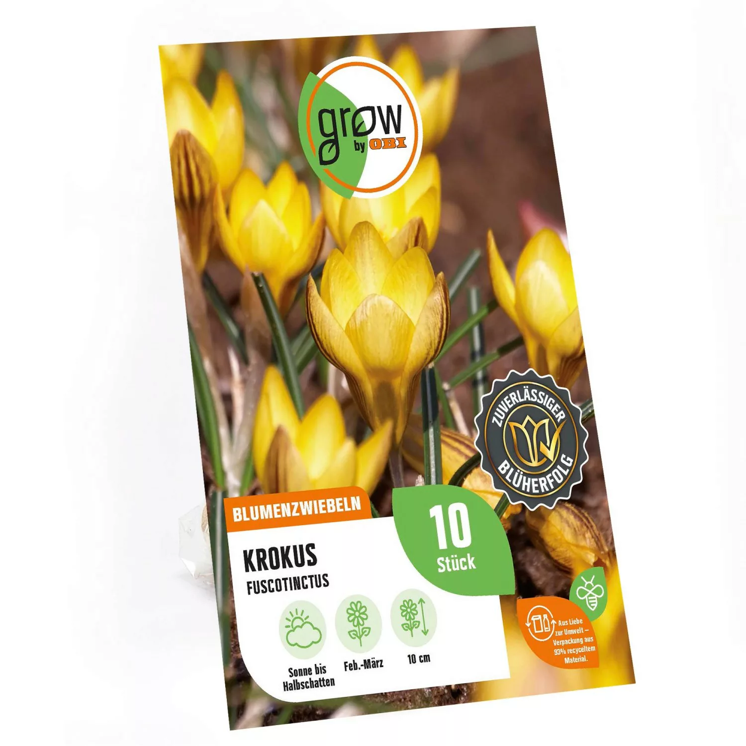 GROW by OBI Krokus Fuscotinctus Orange-Gelb 10 cm Crocus chrysanthus günstig online kaufen