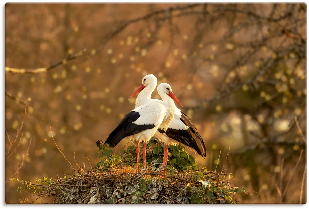Artland Leinwandbild "Storchenpaar", Vogelbilder, (1 St.), auf Keilrahmen g günstig online kaufen