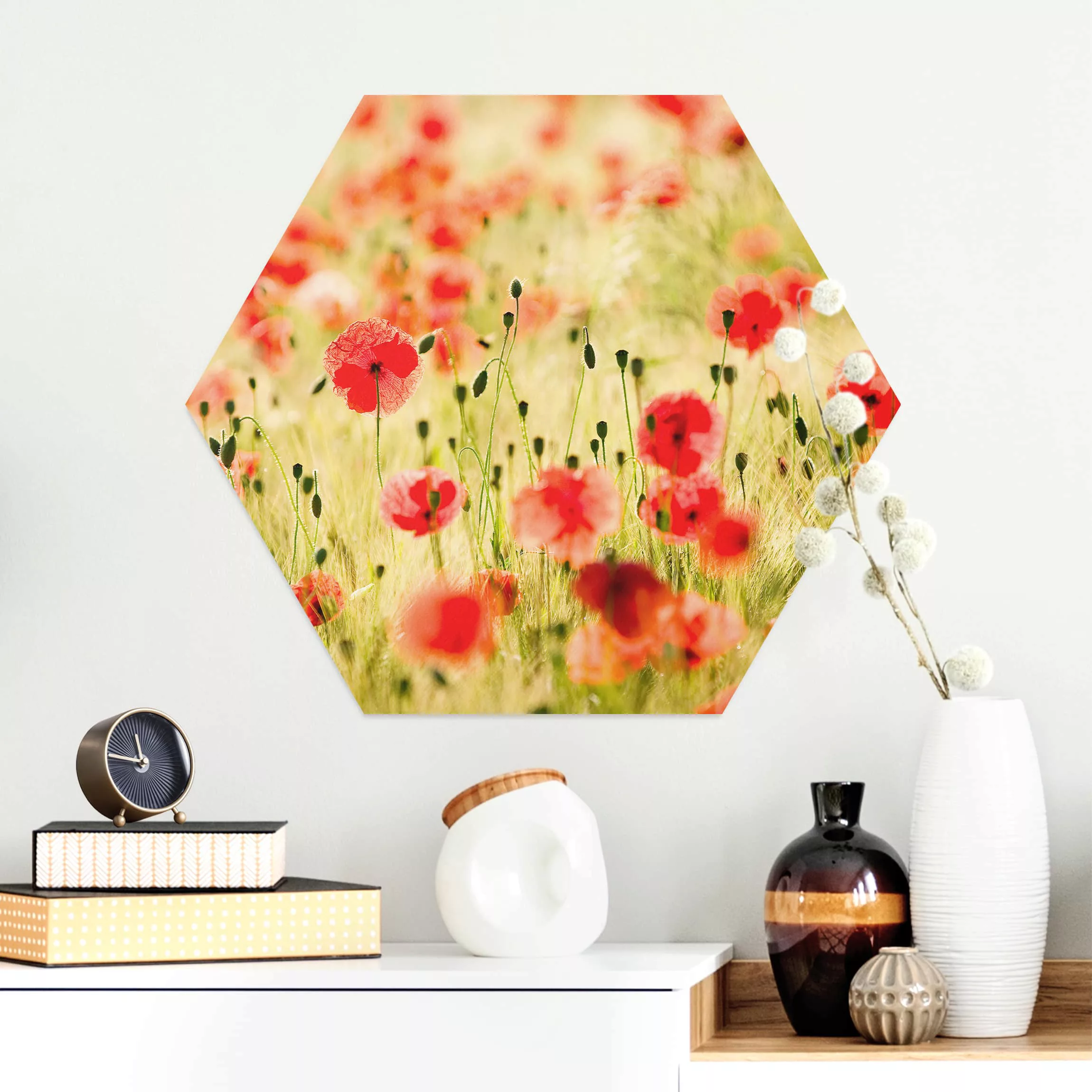Hexagon-Alu-Dibond Bild Blumen Summer Poppies günstig online kaufen