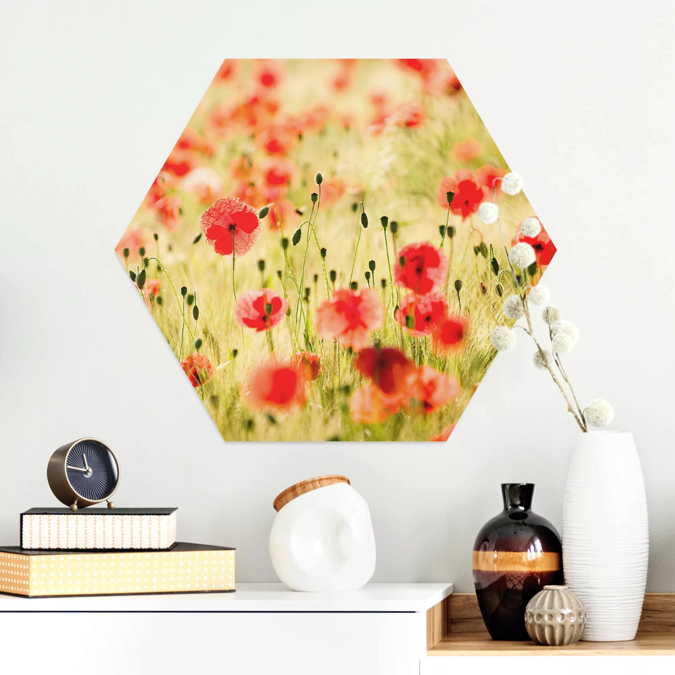 Hexagon-Alu-Dibond Bild Summer Poppies günstig online kaufen