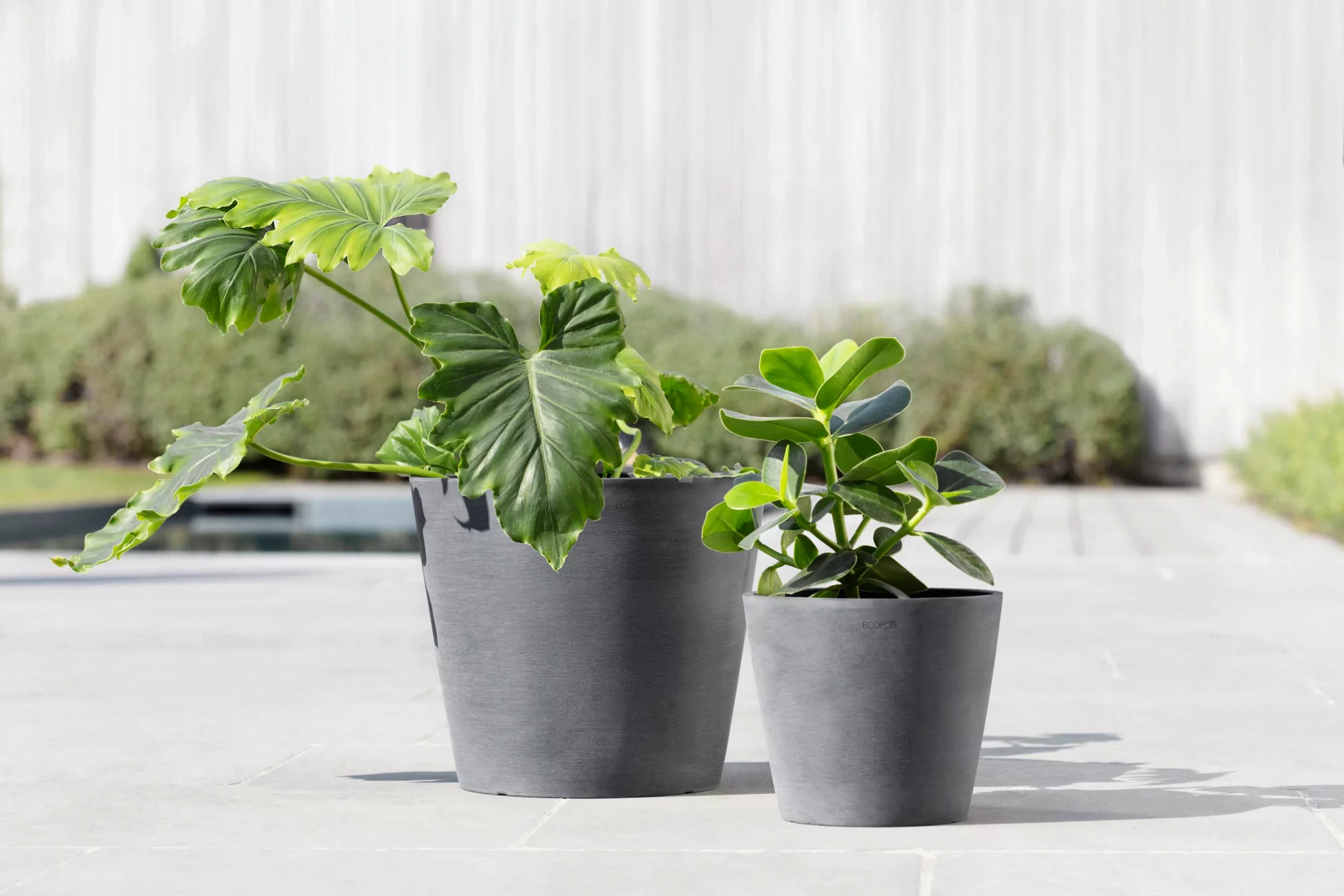 Ecopots Pflanztopf Amsterdam Grau 20 cm x 17,5 cm günstig online kaufen