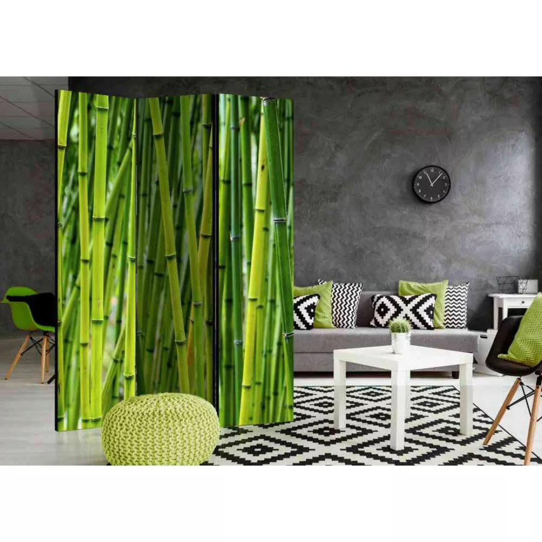 Raumteiler Paravent mit grünem Bambus Motiv 135 cm breit günstig online kaufen