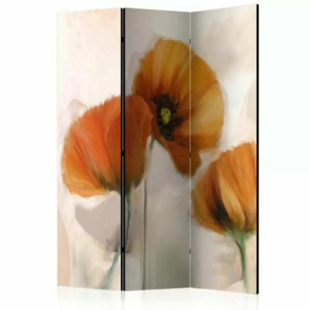 artgeist Paravent poppies - vintage [Room Dividers] mehrfarbig Gr. 135 x 17 günstig online kaufen