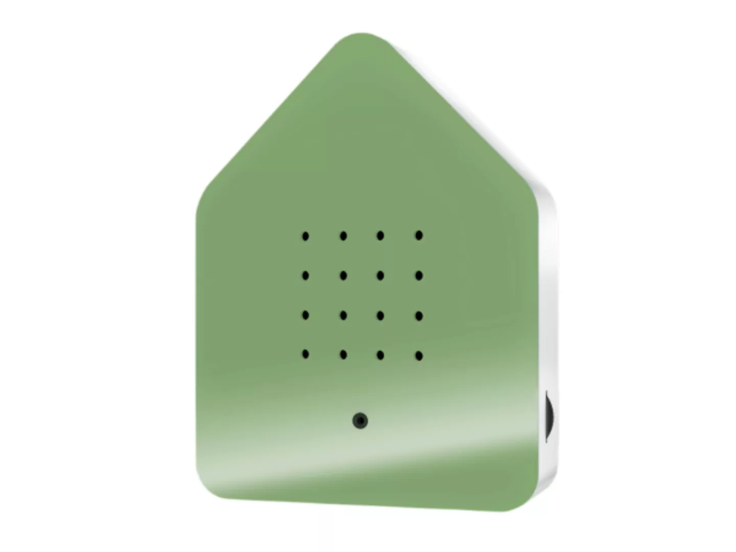Zwitscherbox Plexiglas Olivgrün/Weiß günstig online kaufen