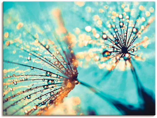 Artland Wandbild »Pusteblume aqua«, Blumen, (1 St.), als Leinwandbild, Post günstig online kaufen