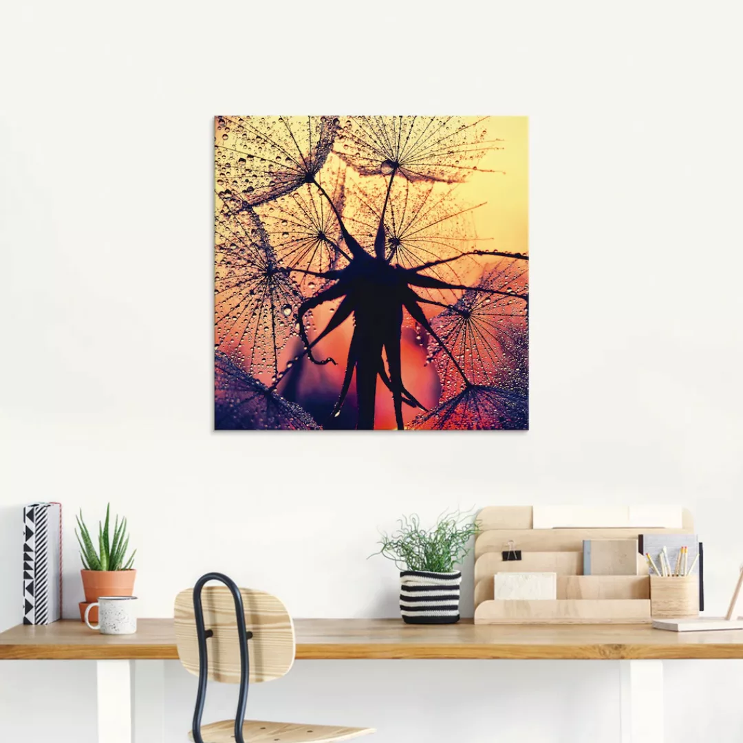 Artland Glasbild »Pusteblume im Sonnenuntergang«, Blumen, (1 St.), in versc günstig online kaufen
