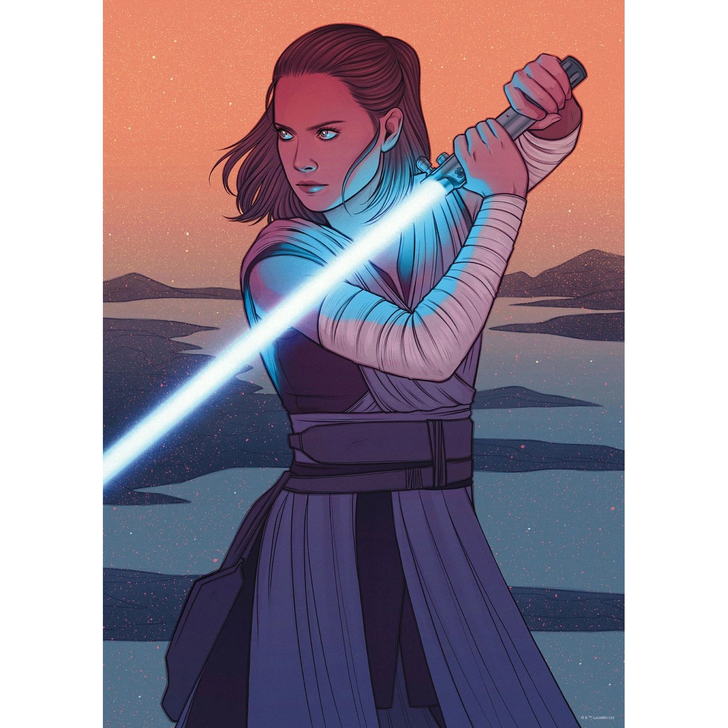 Disney Poster Star Wars Rey Orange und Grau 50 cm x 70 cm 612872 günstig online kaufen