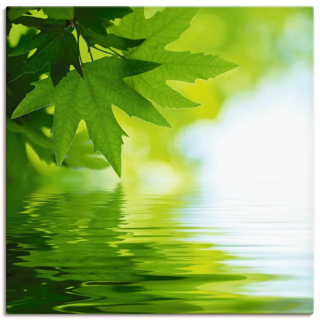 Artland Wandbild »Grüne Blätter reflektieren im Wasser«, Blätter, (1 St.) günstig online kaufen