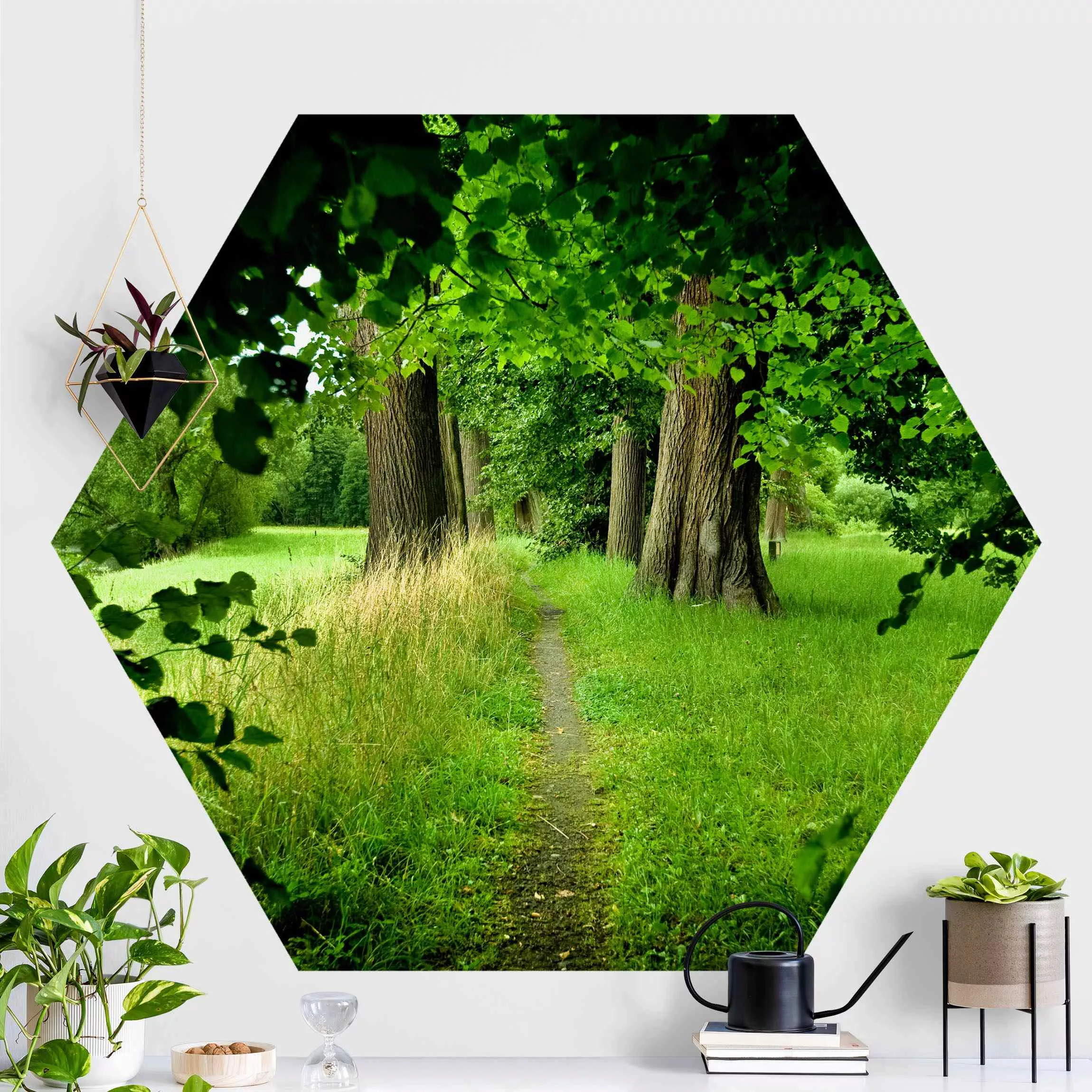 Hexagon Fototapete selbstklebend Verborgene Lichtung günstig online kaufen