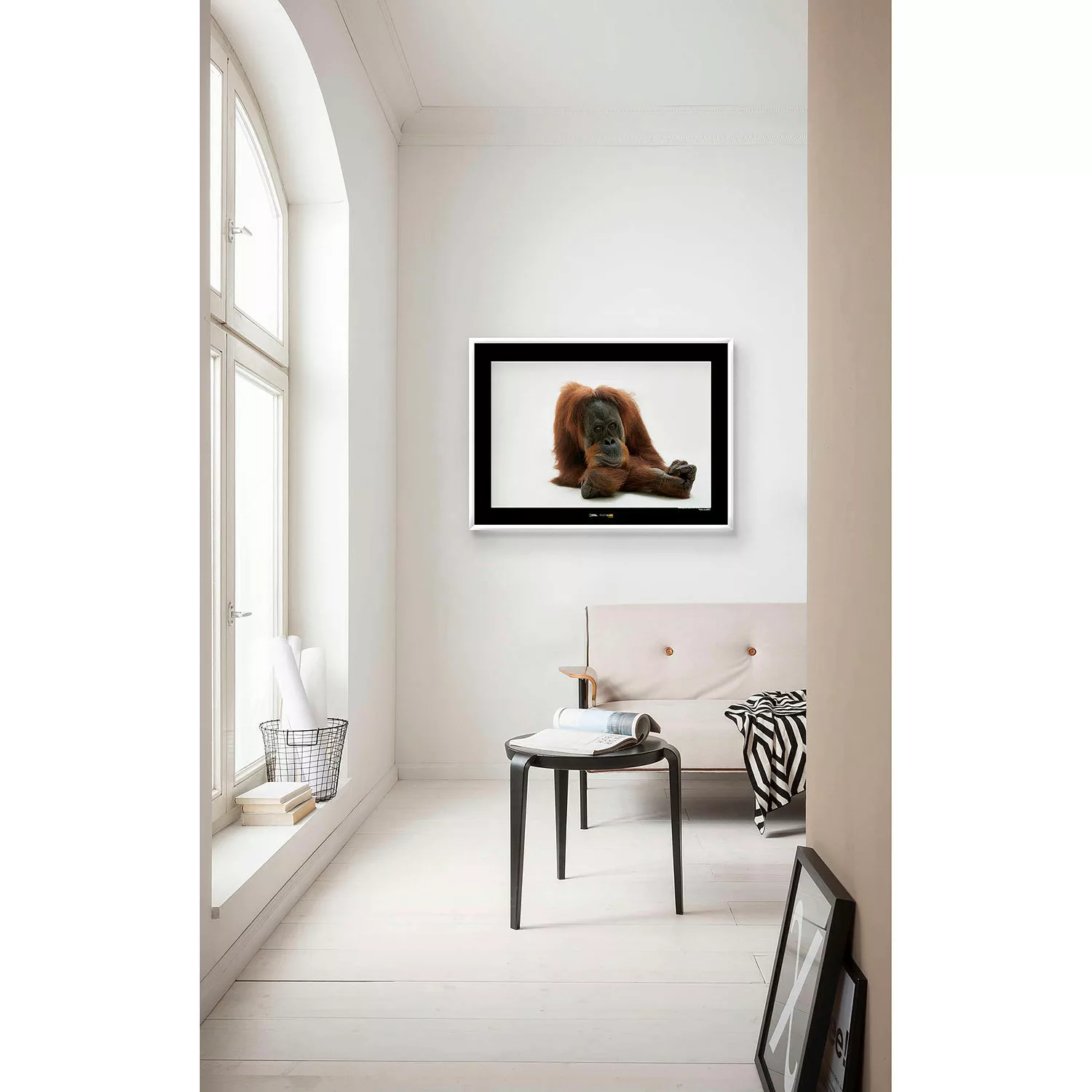 KOMAR Wandbild - Sumatran Orangutan - Größe: 70 x 50 cm mehrfarbig Gr. one günstig online kaufen