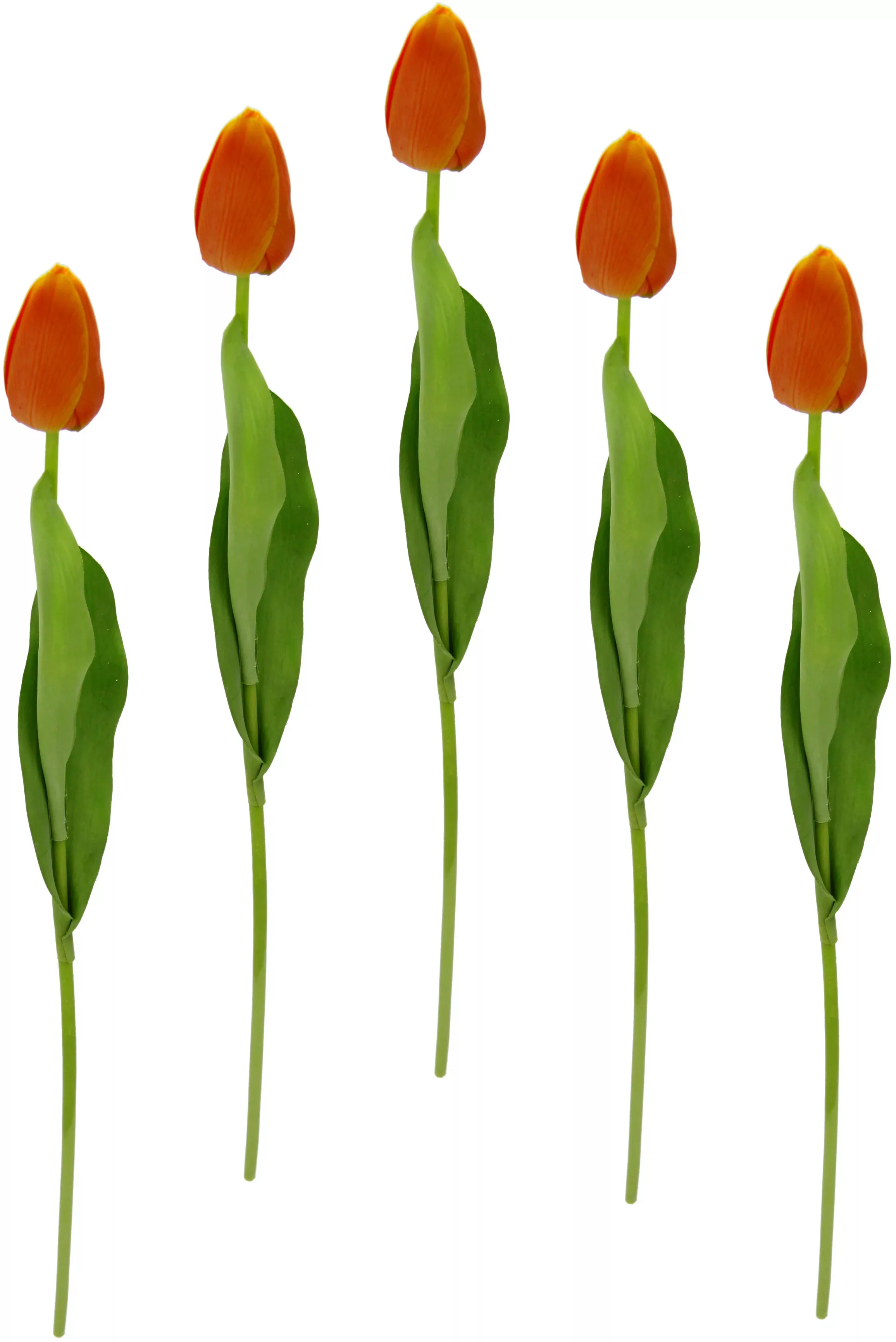 I.GE.A. Kunstblume "Real Touch Tulpen", 5er Set künstliche Tulpenknospen, K günstig online kaufen
