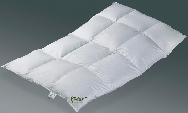 fjödur Daunenbettdecke »Fabiennes Royal«, polarwarm, Füllung 50% Daunen % 5 günstig online kaufen