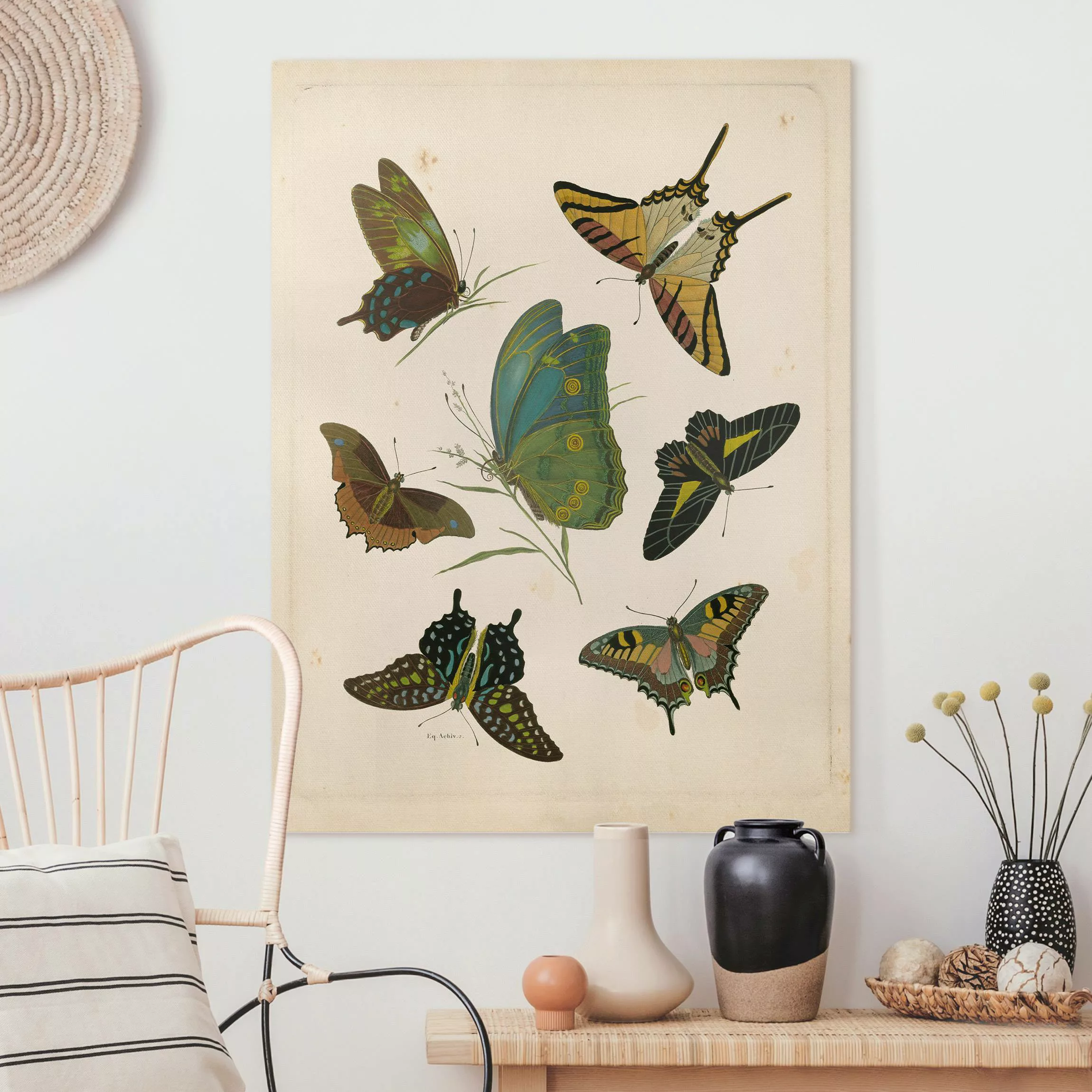 Leinwandbild Vintage Illustration Exotische Schmetterlinge günstig online kaufen