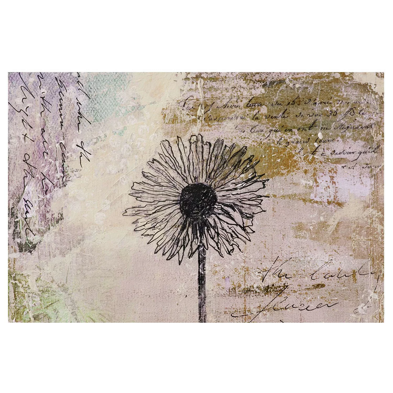 Bilderwelten Blumentapete Shabby Pusteblume creme Gr. 432 x 290 günstig online kaufen