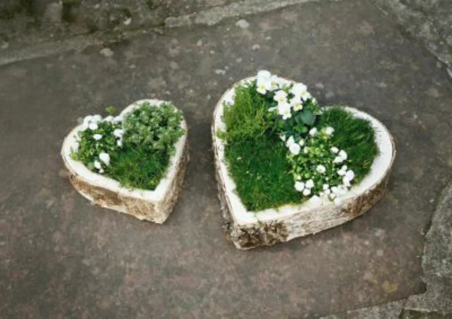 HOME Living Pflanz-Herz Birke Blumentöpfe bunt günstig online kaufen