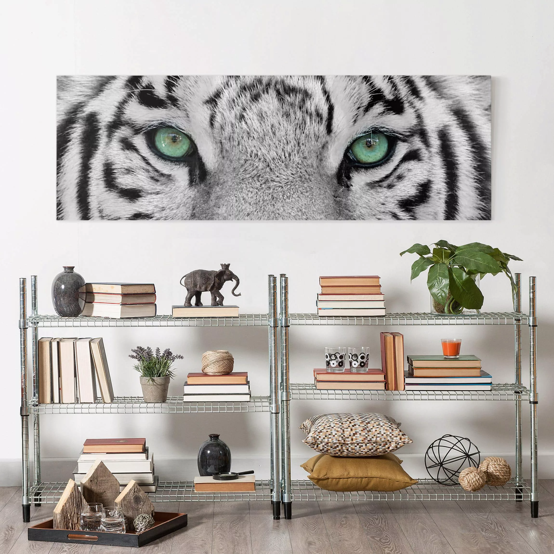 Leinwandbild Tiere - Panorama Weißer Tiger günstig online kaufen