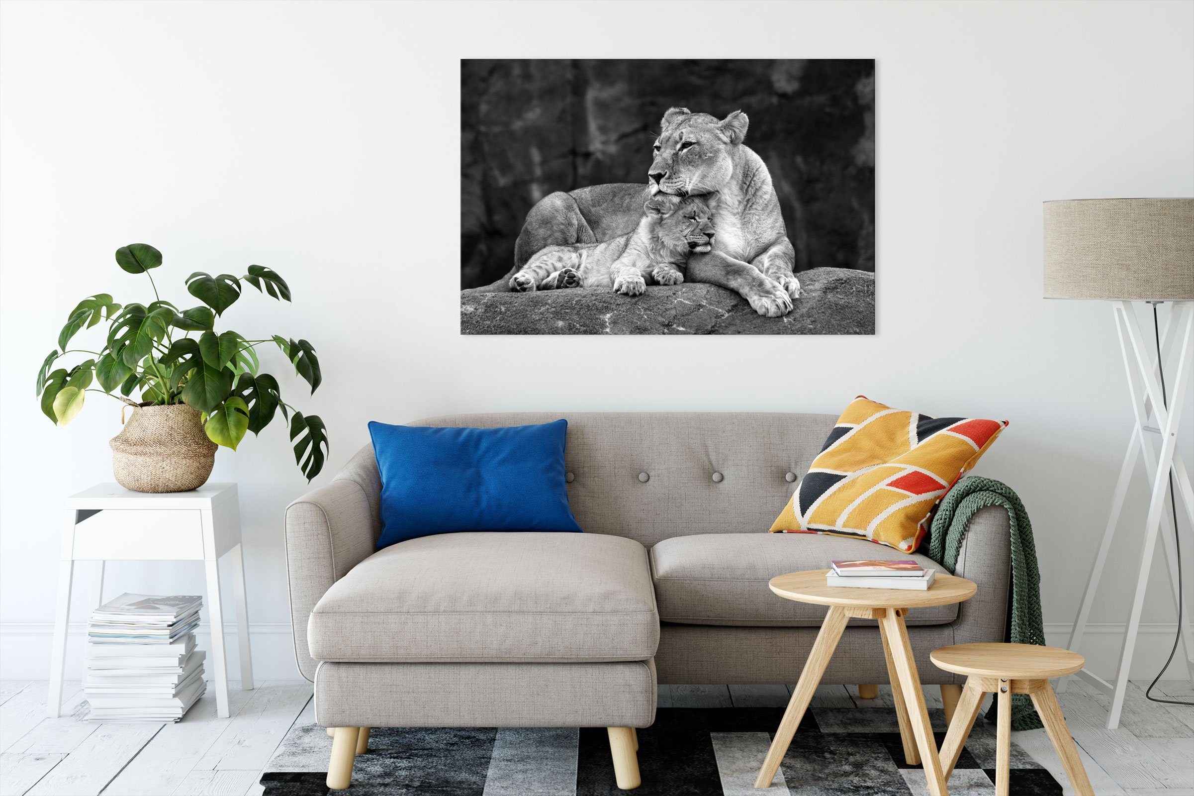 Pixxprint Leinwandbild Löwe Löwenjungen, Löwe Löwenjungen günstig online kaufen