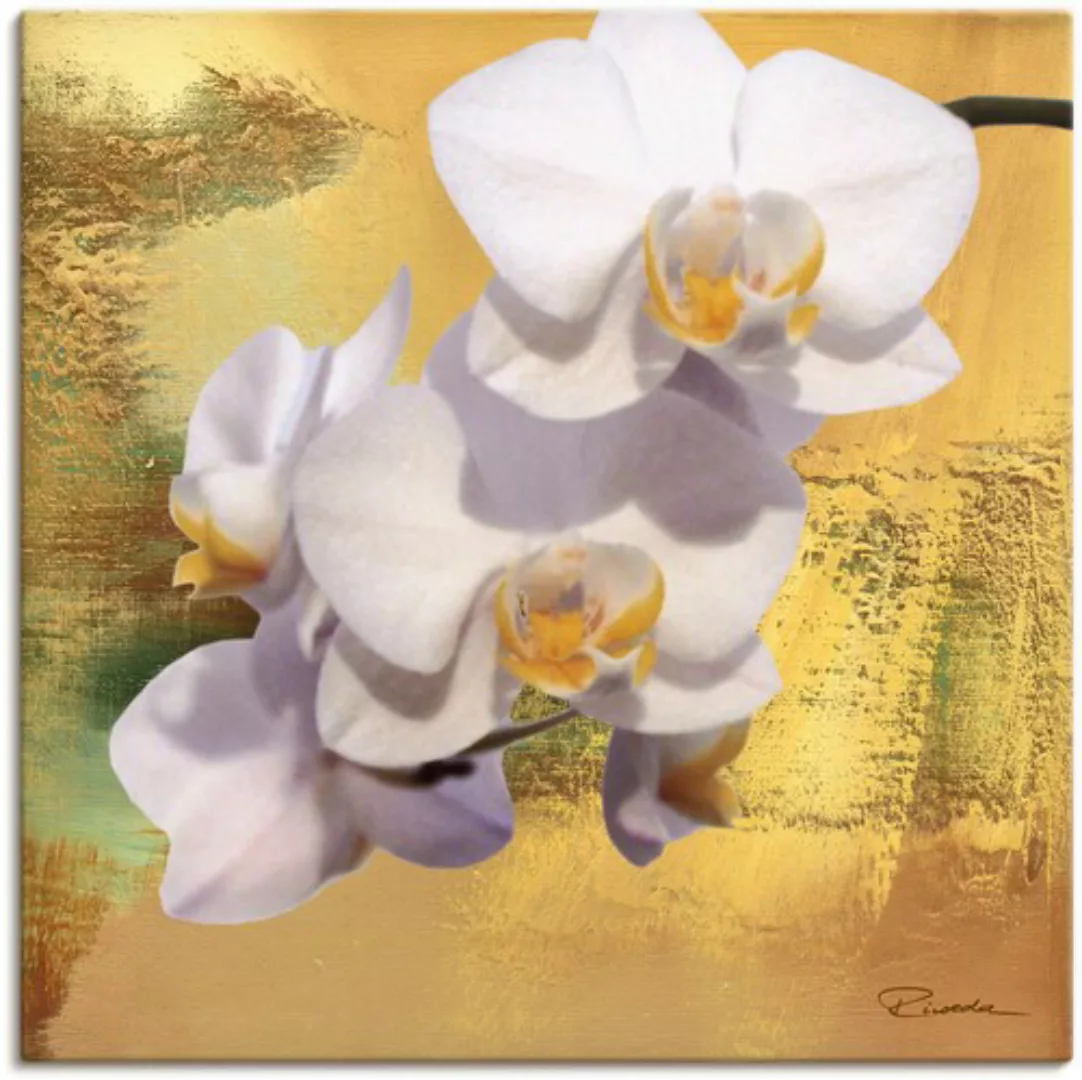 Artland Leinwandbild "Weiße Orchidee II", Blumen, (1 St.), auf Keilrahmen g günstig online kaufen