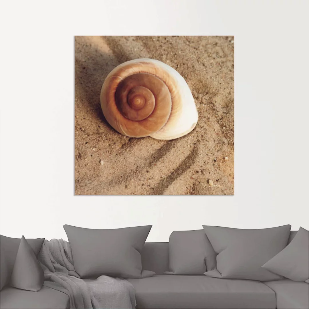 Artland Wandbild »Muschel«, Wassertiere, (1 St.), als Alubild, Outdoorbild, günstig online kaufen