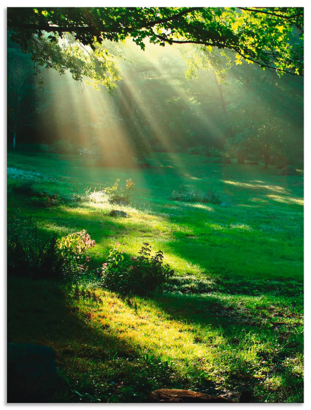 Artland Wandbild "Lichtkegel", Wald, (1 St.), als Alubild, Outdoorbild, Lei günstig online kaufen