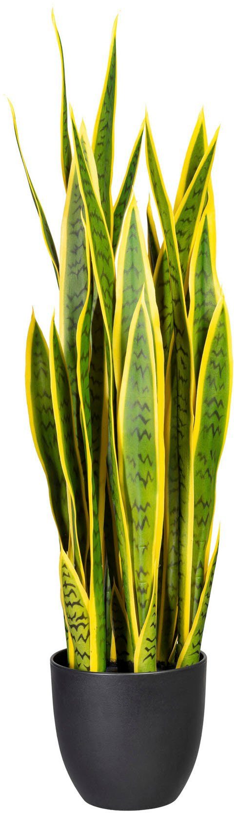 Künstliche Zimmerpflanze Sanseveria Sanseveria, Creativ green, günstig online kaufen
