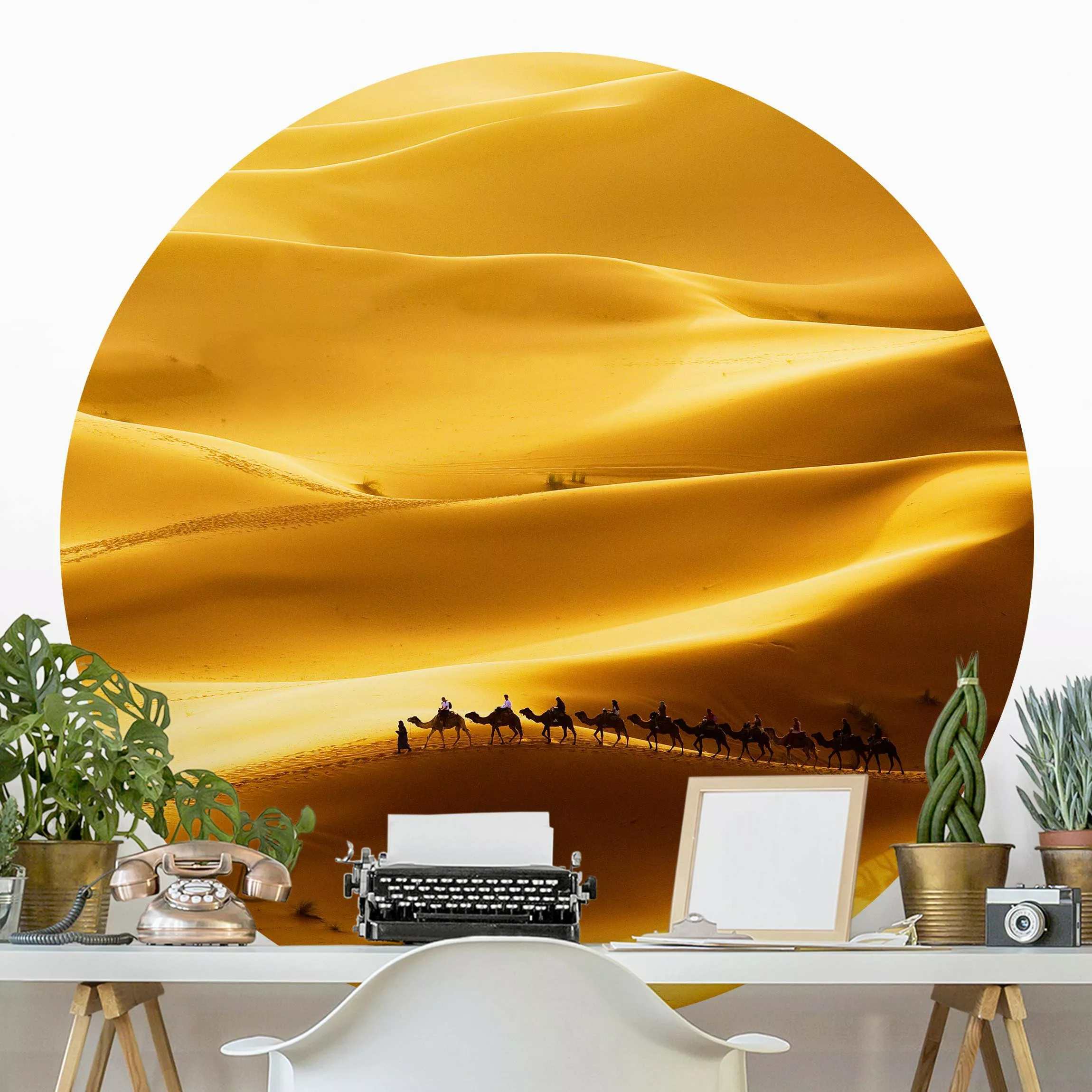 Runde Fototapete selbstklebend Golden Dunes günstig online kaufen