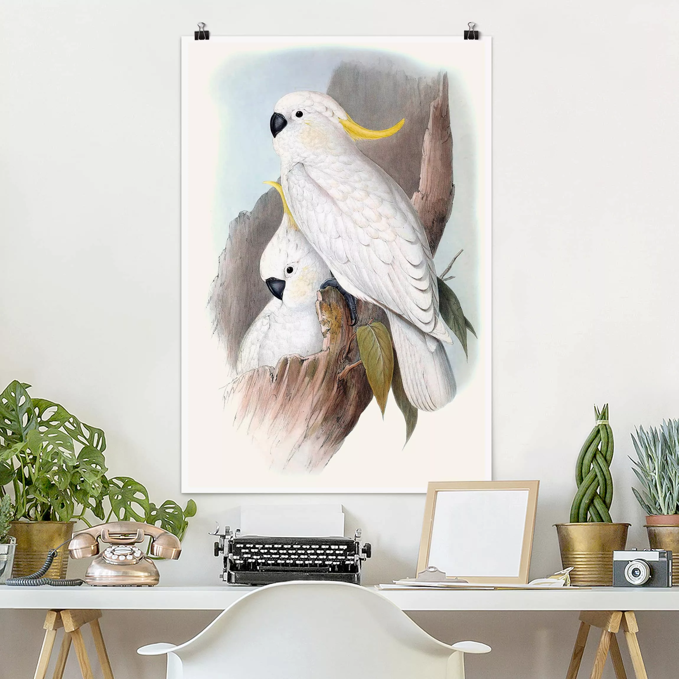 Poster Tiere - Hochformat Pastell Papageien III günstig online kaufen