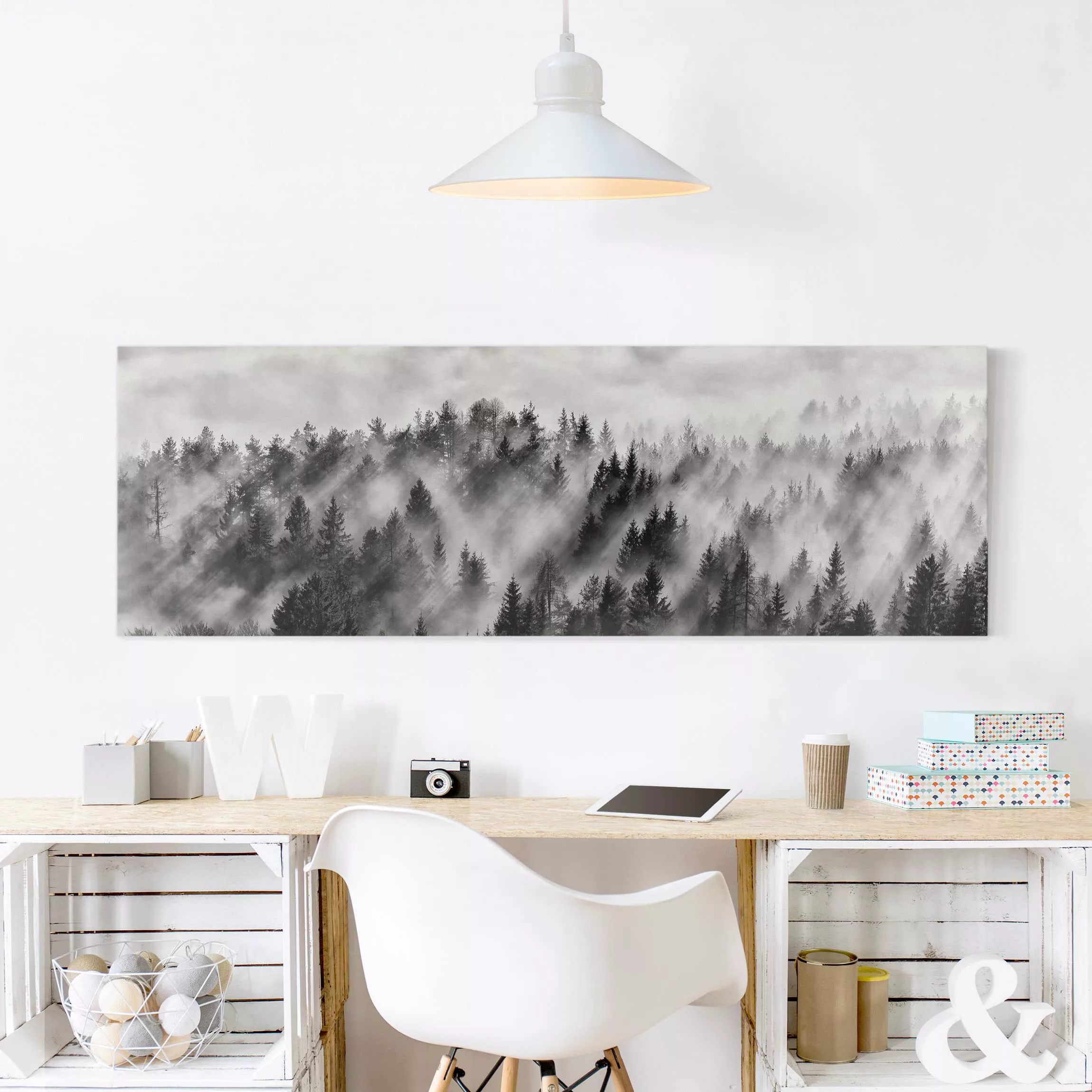 Leinwandbild Schwarz-Weiß - Panorama Lichtstrahlen im Nadelwald günstig online kaufen