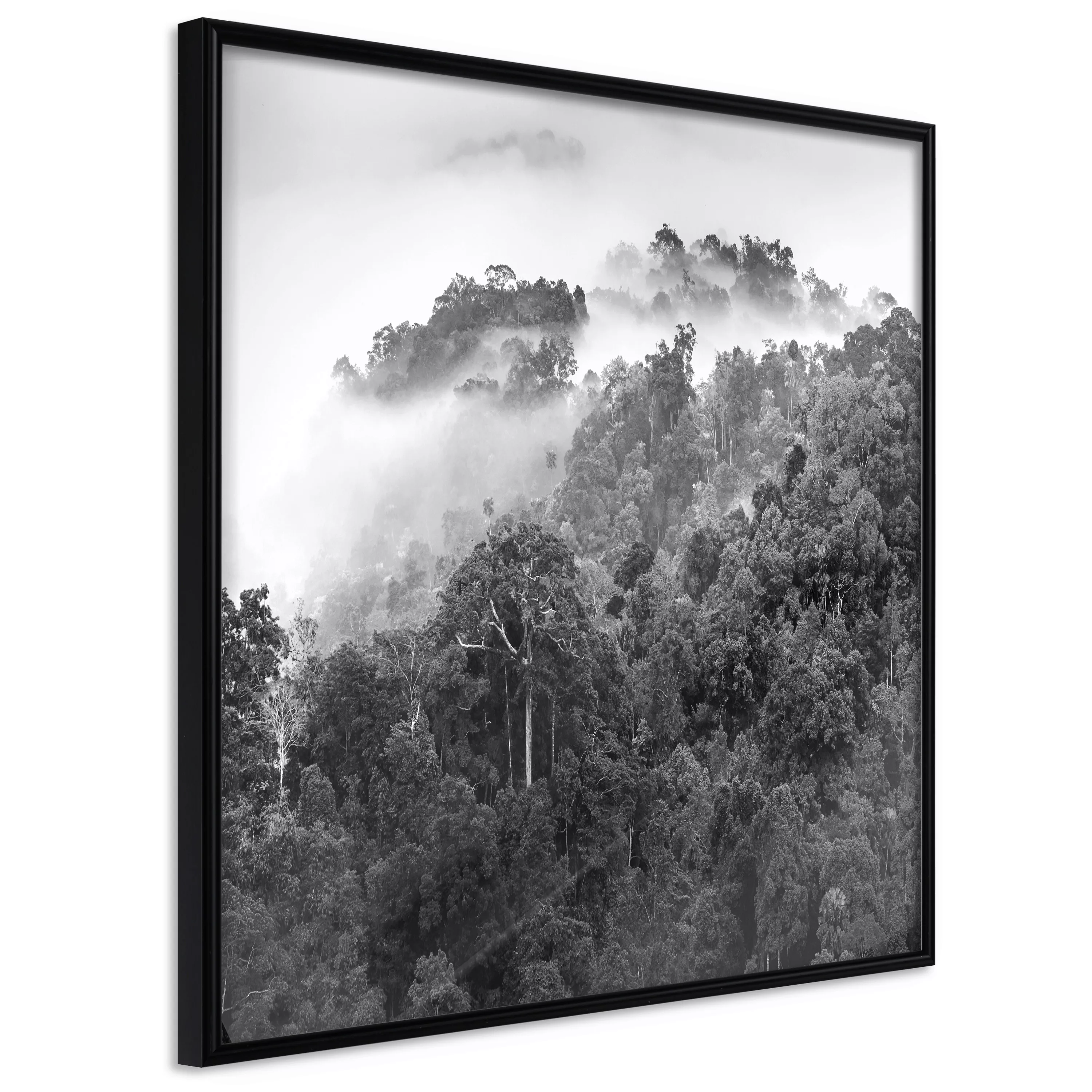 Poster - Foggy Forest günstig online kaufen