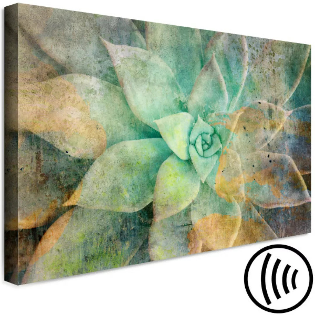 Wandbild Geheimnisvolle grüne Blume - Floristisches Motiv mit farbigem Effe günstig online kaufen