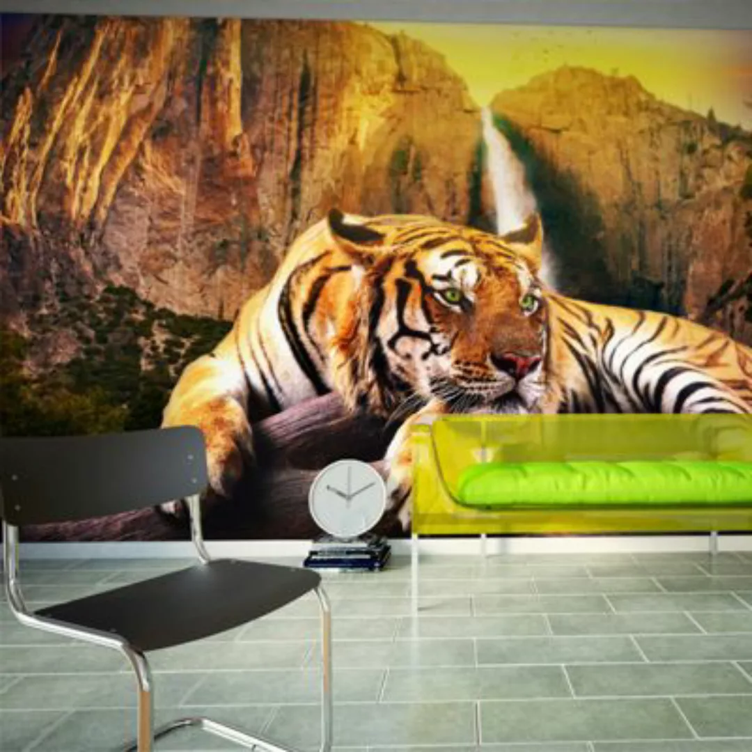 artgeist Fototapete Beauty and the beast mehrfarbig Gr. 400 x 270 günstig online kaufen