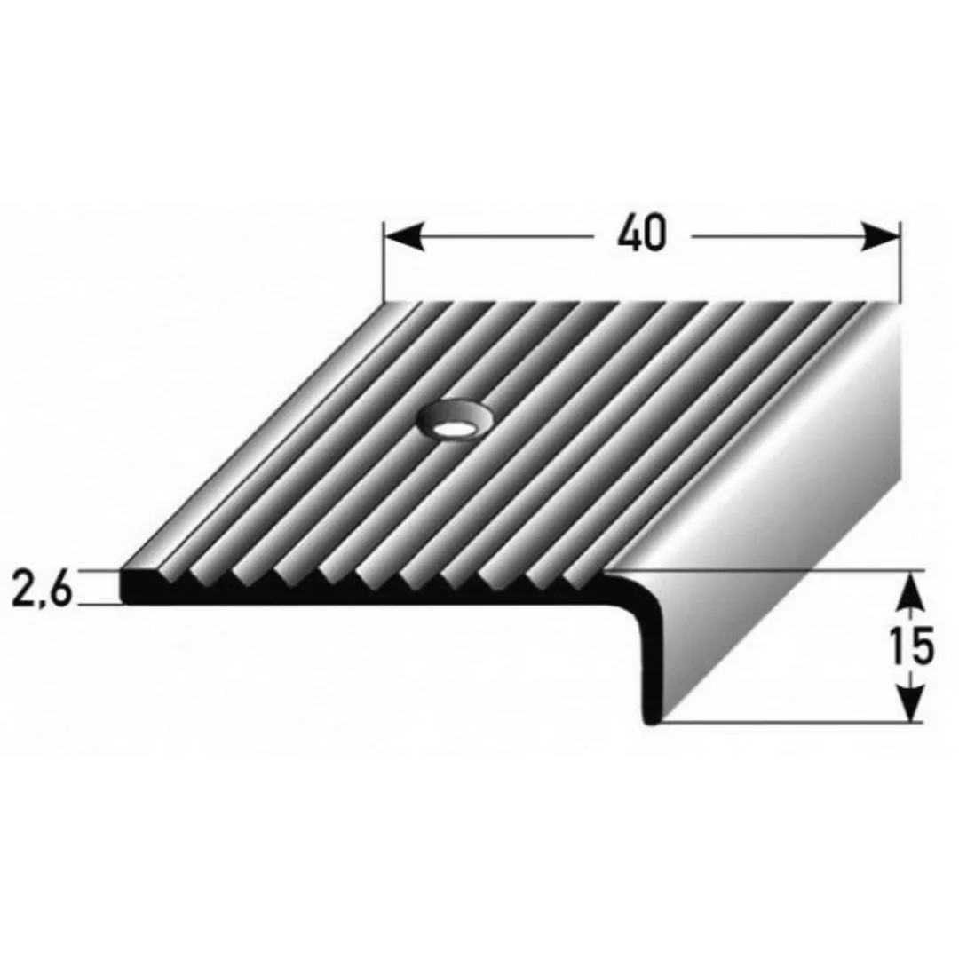 Treppenkante "Asti" / Treppenkantenprofil / Winkelprofil (Größe 40 mm x 15 günstig online kaufen