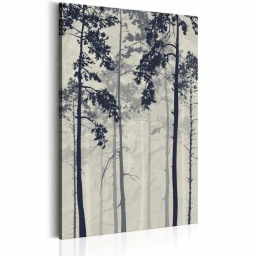 artgeist Wandbild Forest In Fog schwarz/grau Gr. 40 x 60 günstig online kaufen