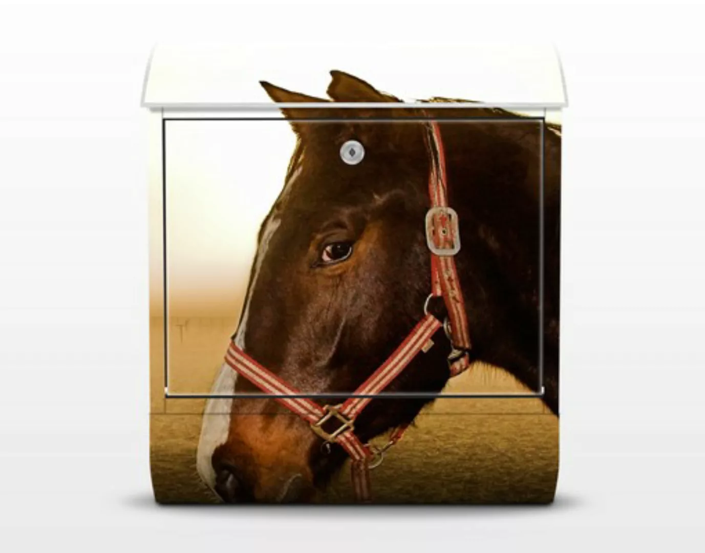 Briefkasten Tiere Early Horse günstig online kaufen