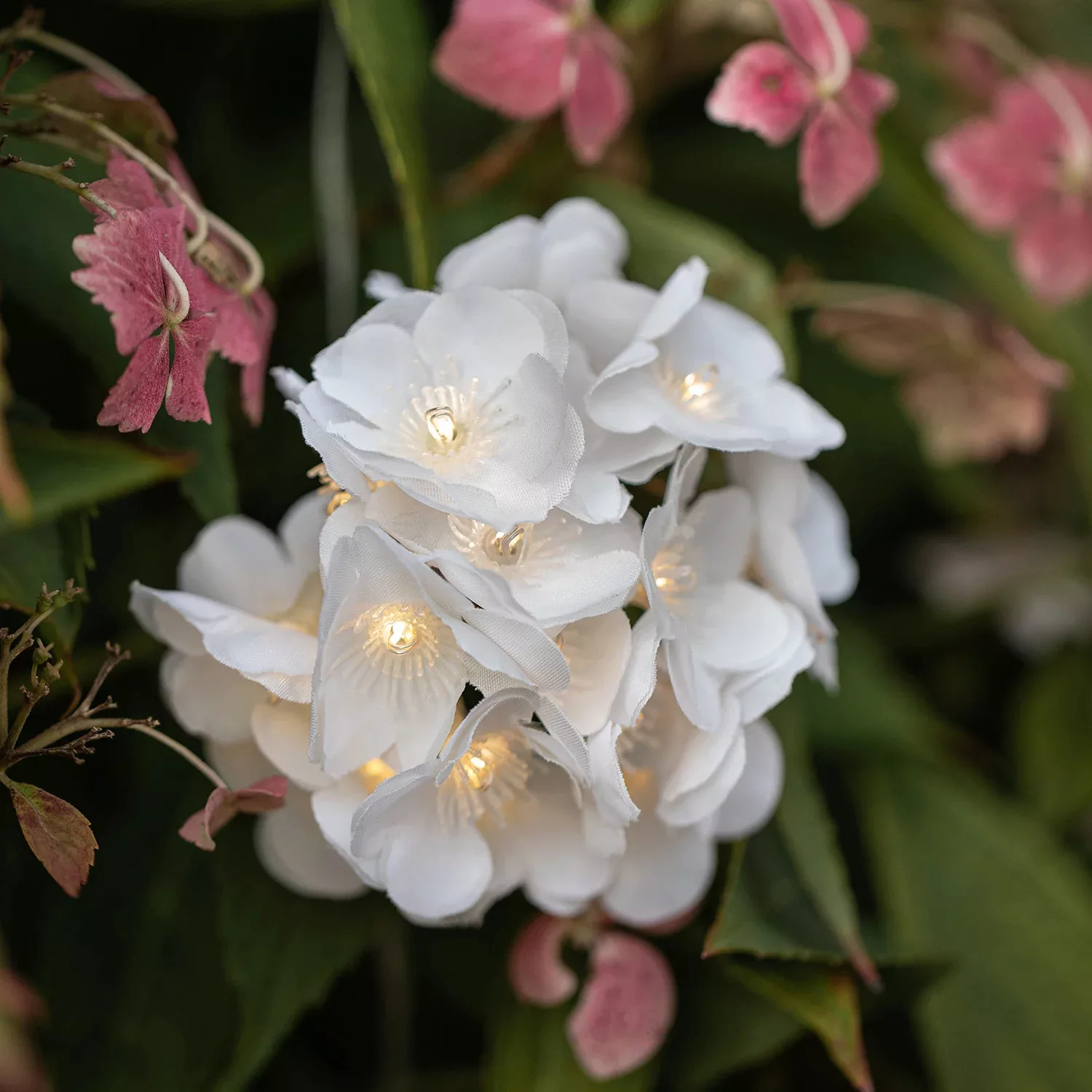 200er LED Solar Lichterkette Starburst Blumen USB wiederaufladbar günstig online kaufen