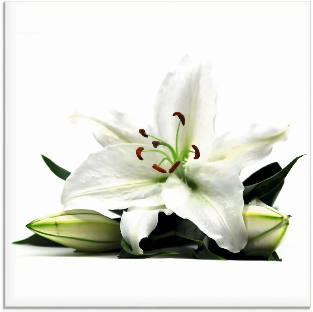 Artland Glasbild "Große Lilie", Blumen, (1 St.) günstig online kaufen