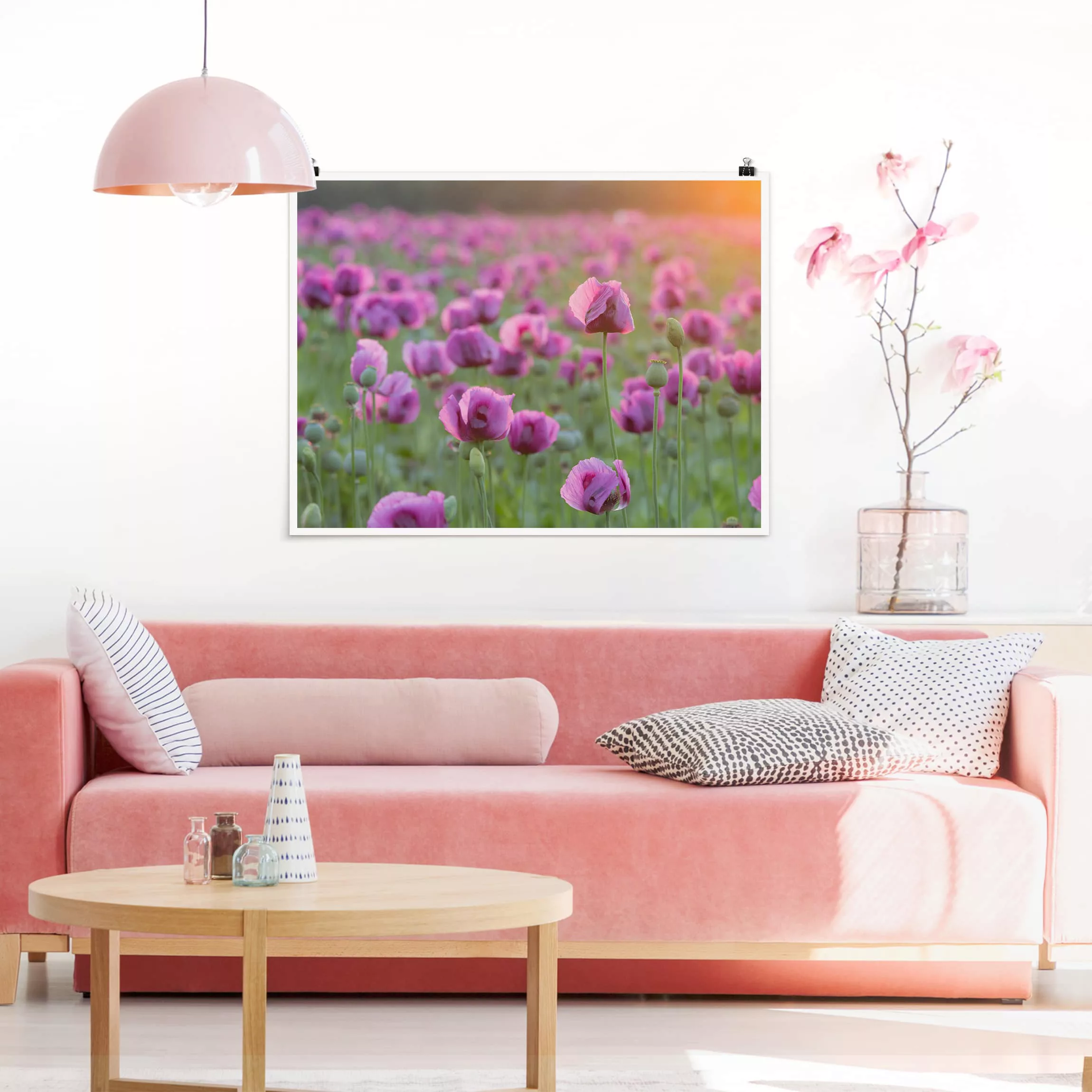 Poster Blumen - Querformat Violette Schlafmohn Blumenwiese im Frühling günstig online kaufen