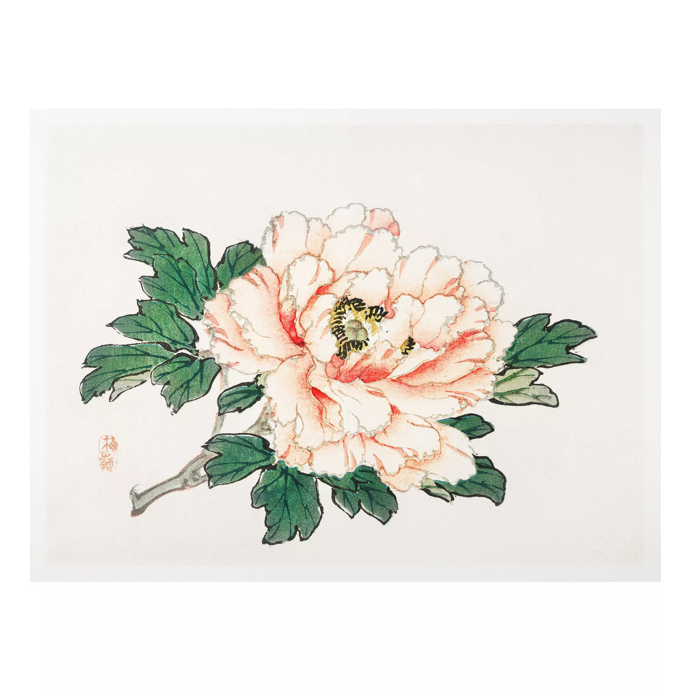 Forexbild Blumen - Querformat Asiatische Vintage Zeichnung Rosa Chrysanthem günstig online kaufen