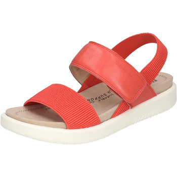 Westland  Sandalen Albi 07, rot günstig online kaufen