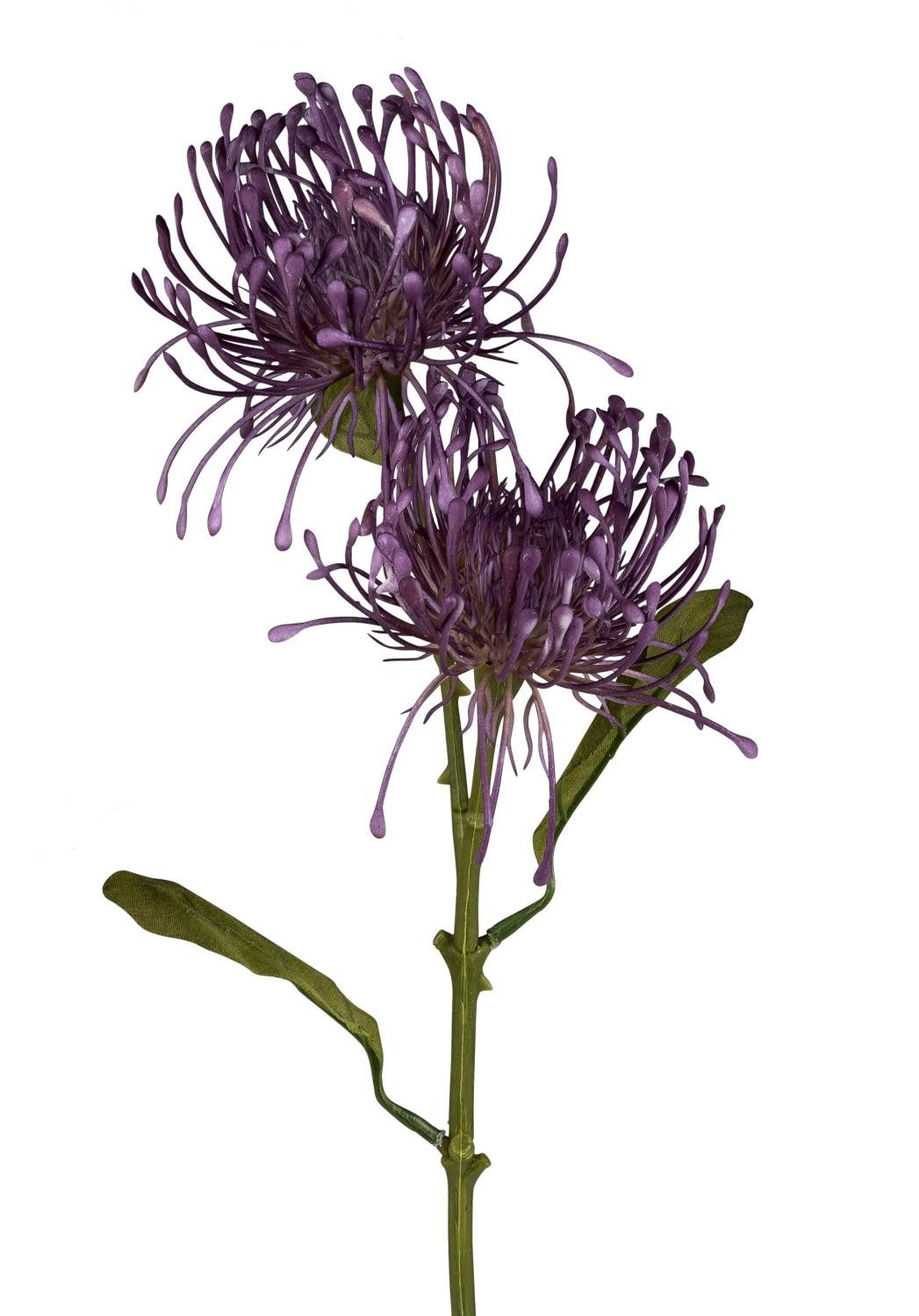 Kunstblume Blütenzweig, formano, Höhe 56 cm, günstig online kaufen